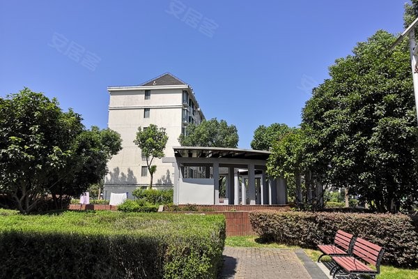 浩泽怎么样？真实用户告诉你净水器选购的坑与智慧